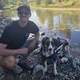 My dog